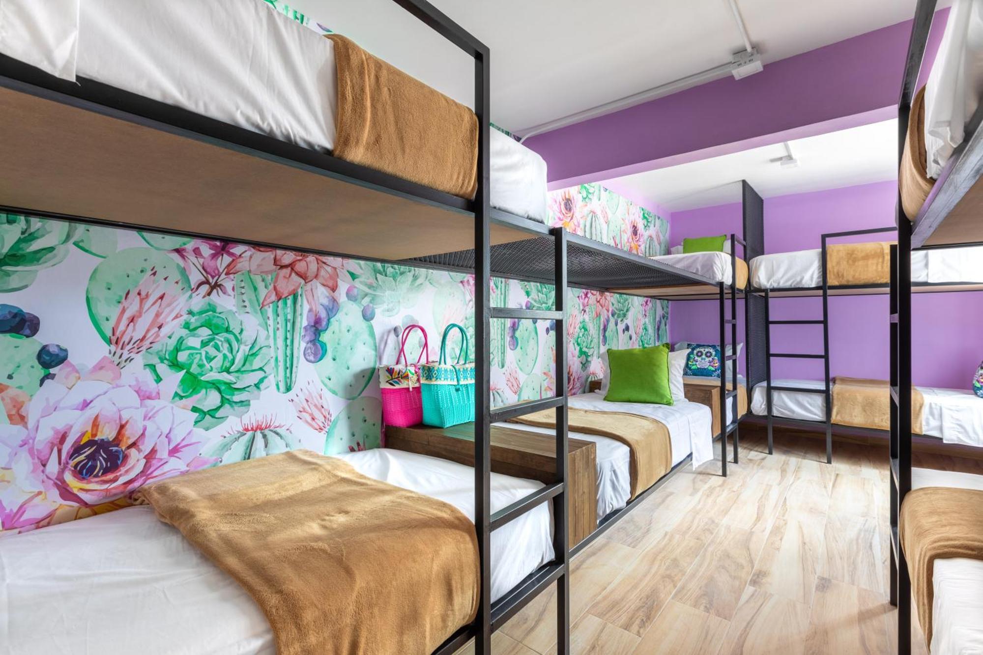 מקסיקו סיטי Casa Kanabri Hostal Boutique מראה חיצוני תמונה